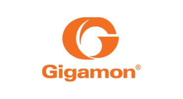 gigamon